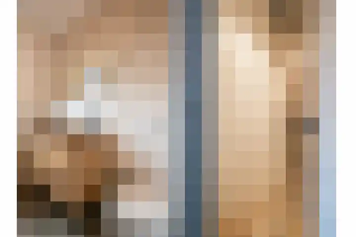Gentiaan 17 Marknesse thumbnail 26