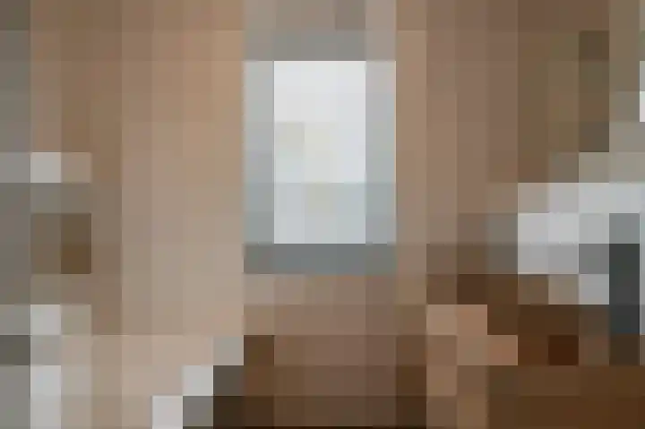 Gentiaan 17 Marknesse thumbnail 27
