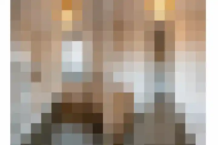 Gentiaan 17 Marknesse thumbnail 28