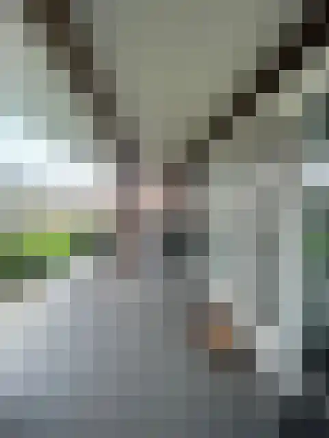 Gentiaan 17 Marknesse thumbnail 32