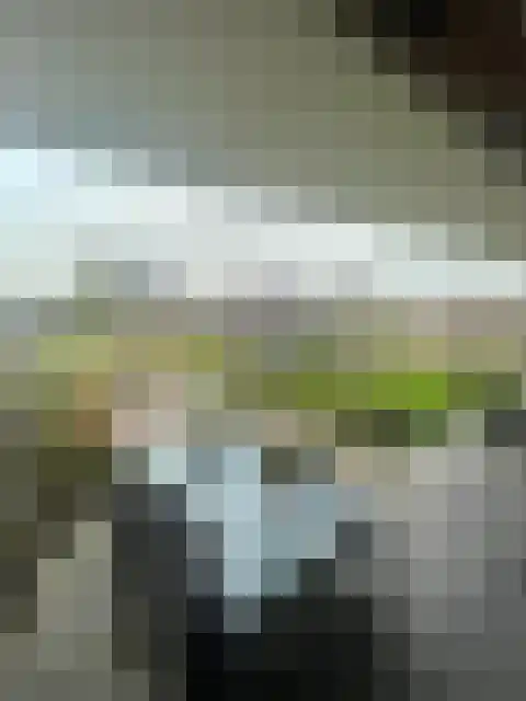 Gentiaan 17 Marknesse thumbnail 33