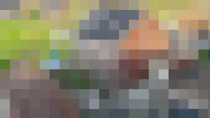 Gentiaan 17 Marknesse thumbnail 34