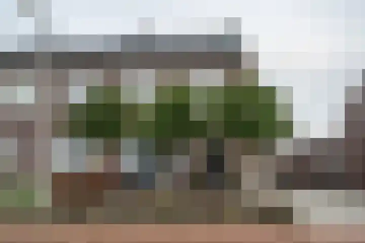 Gentiaan 17 Marknesse thumbnail 35