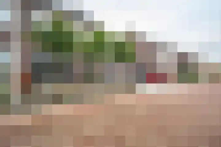 Gentiaan 17 Marknesse thumbnail 36