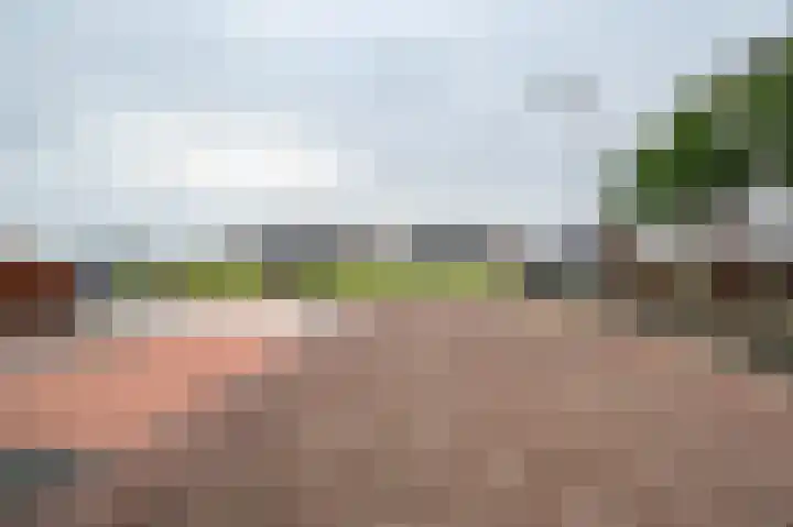 Gentiaan 17 Marknesse thumbnail 38