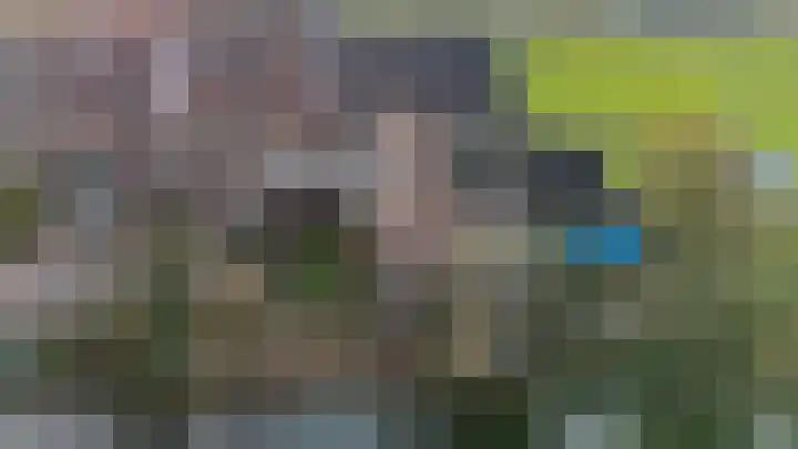 Gentiaan 17 Marknesse thumbnail 39
