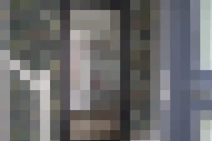 Gentiaan 17 Marknesse thumbnail 4