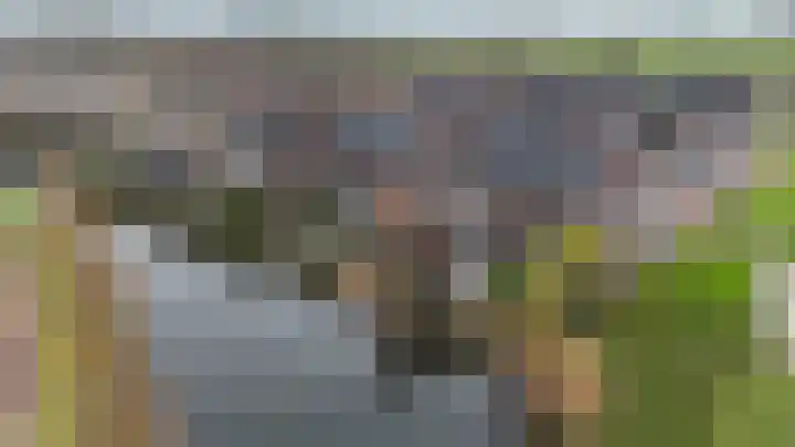 Gentiaan 17 Marknesse thumbnail 40