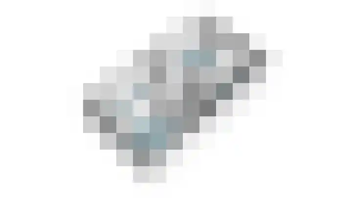Gentiaan 17 Marknesse thumbnail 45