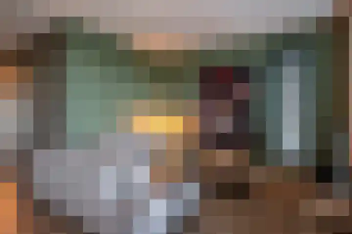 Gentiaan 17 Marknesse thumbnail 8