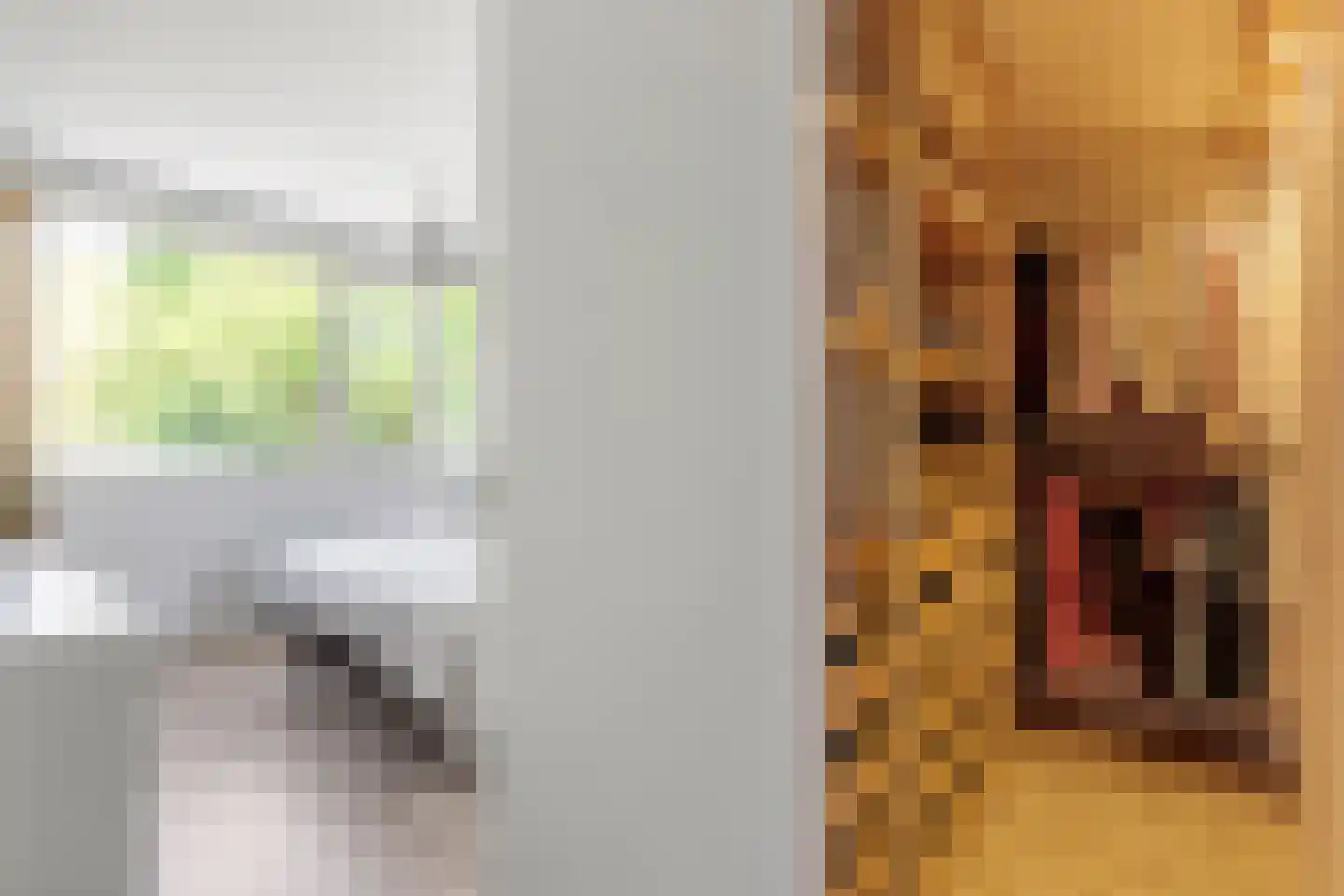 Gentiaan 18 Borne thumbnail 13