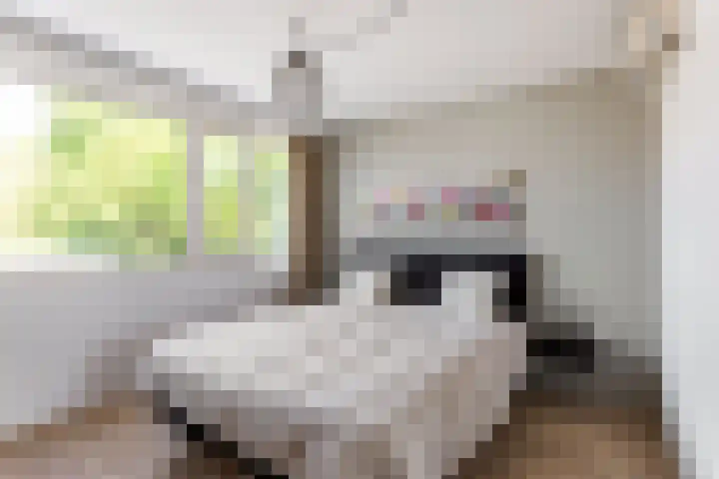 Gentiaan 18 Borne thumbnail 14