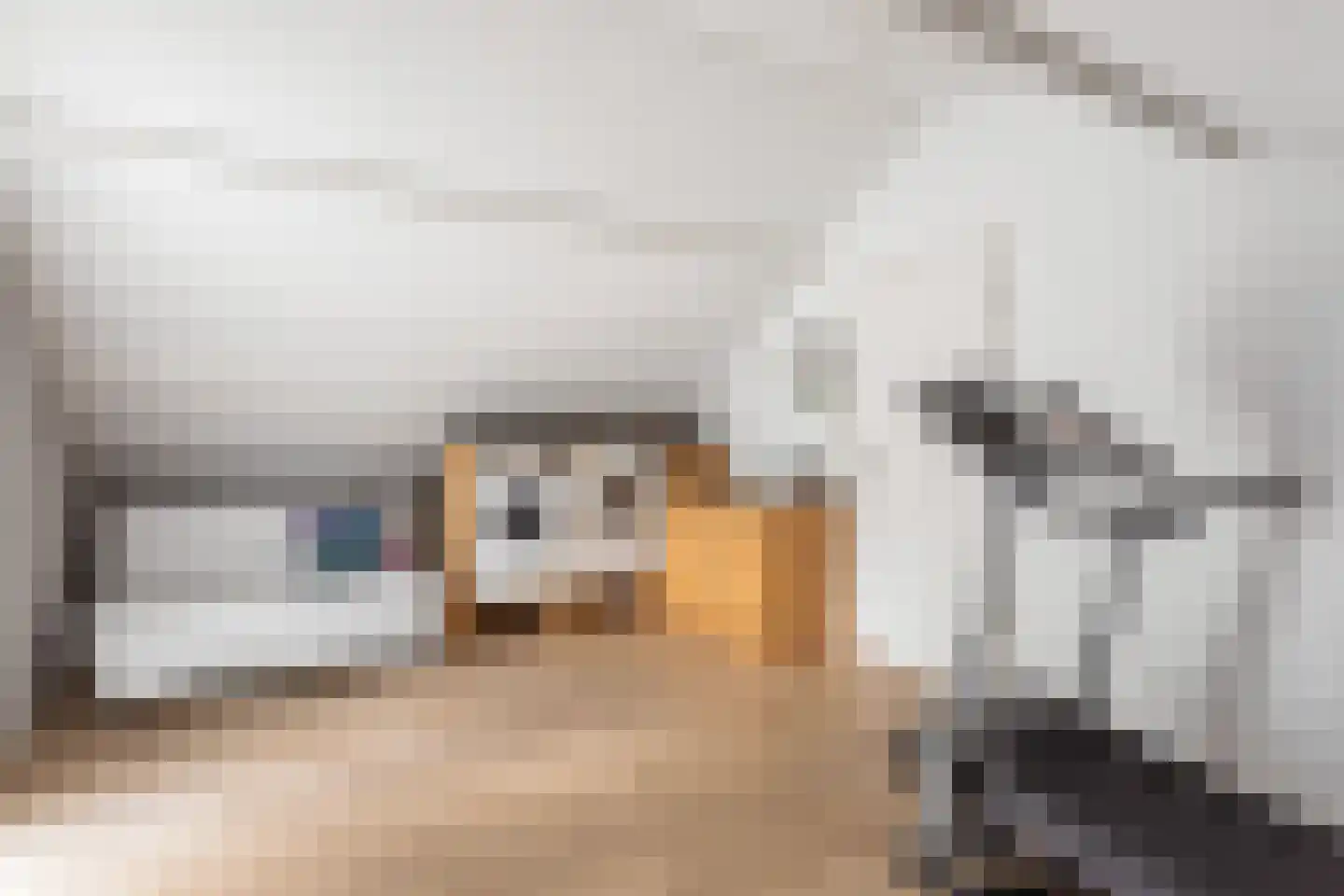 Gentiaan 18 Borne thumbnail 17