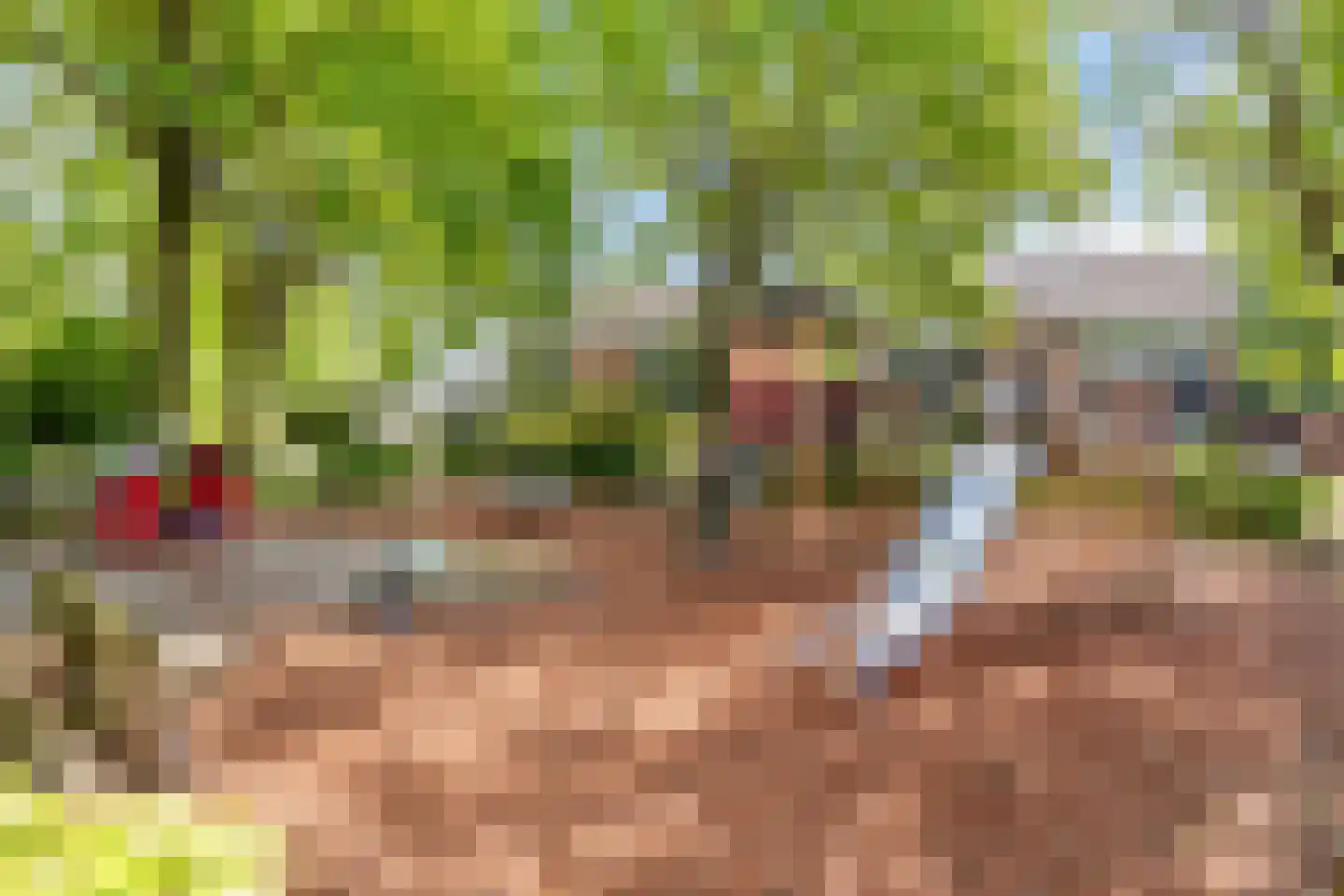 Gentiaan 18 Borne thumbnail 21