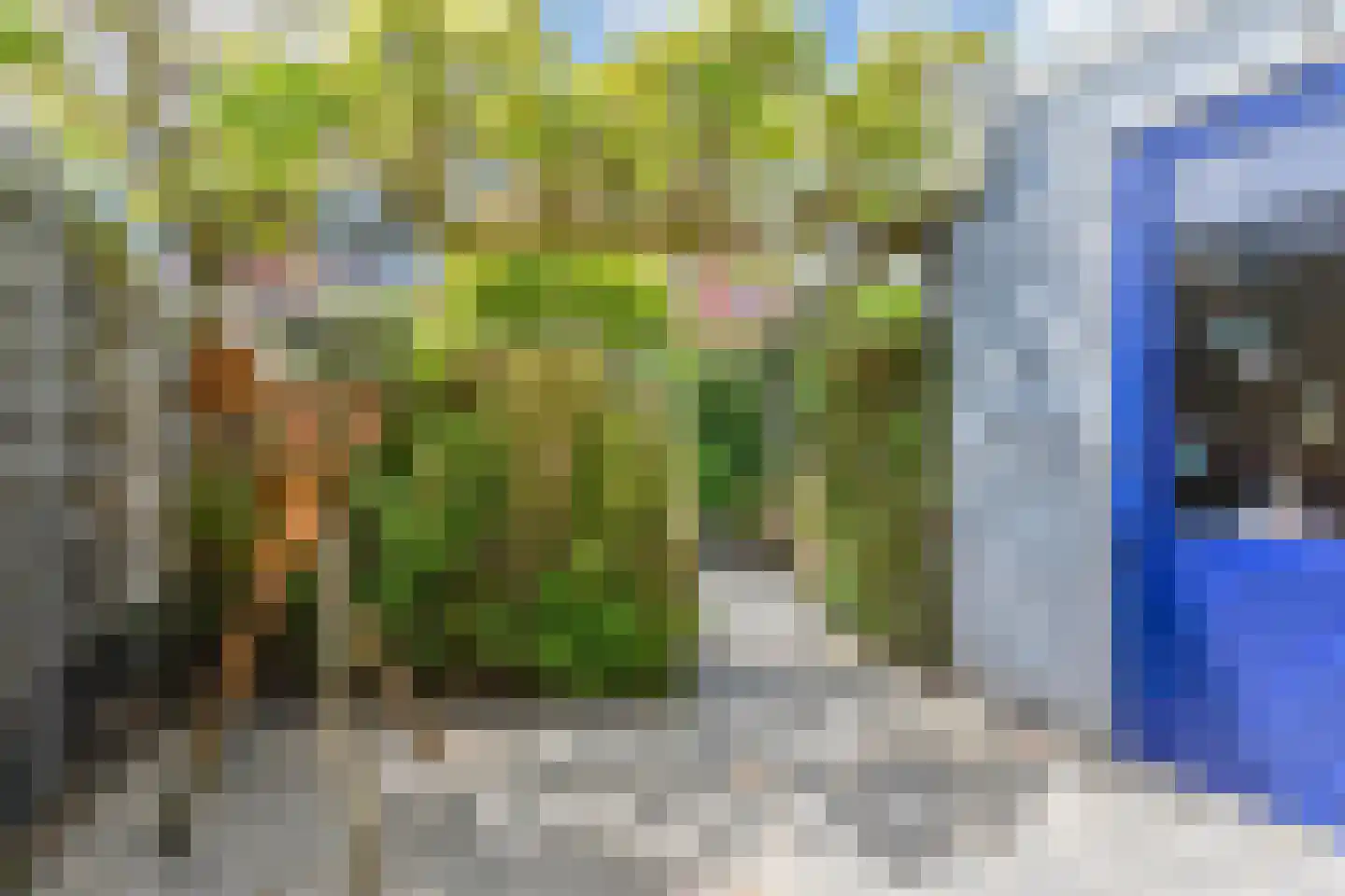 Gentiaan 19 Nootdorp thumbnail 13