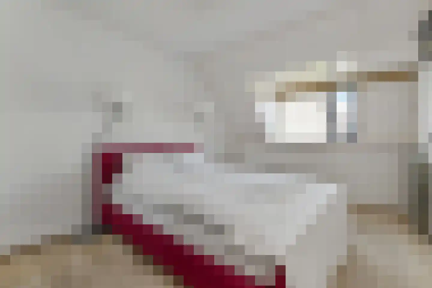 Gentiaan 19 Nootdorp thumbnail 21