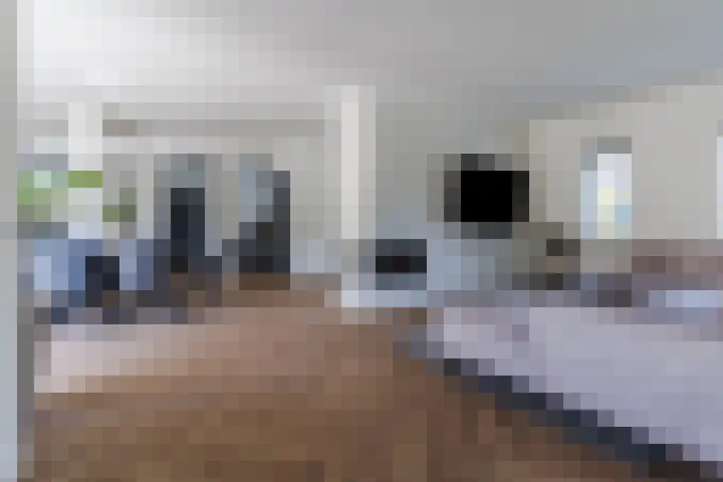 Gentiaan 2 Luyksgestel thumbnail 10