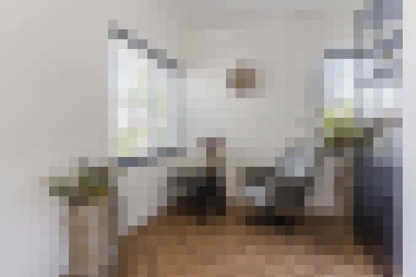 Gentiaan 2 Luyksgestel thumbnail 20
