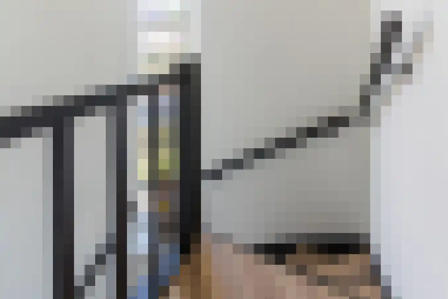 Gentiaan 2 Luyksgestel thumbnail 32