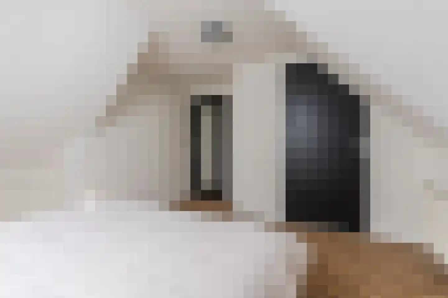 Gentiaan 2 Luyksgestel thumbnail 36