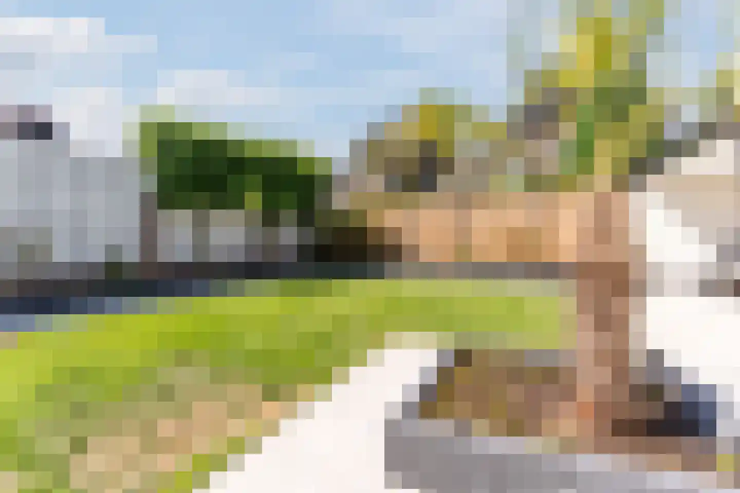 Gentiaan 2 Luyksgestel thumbnail 49
