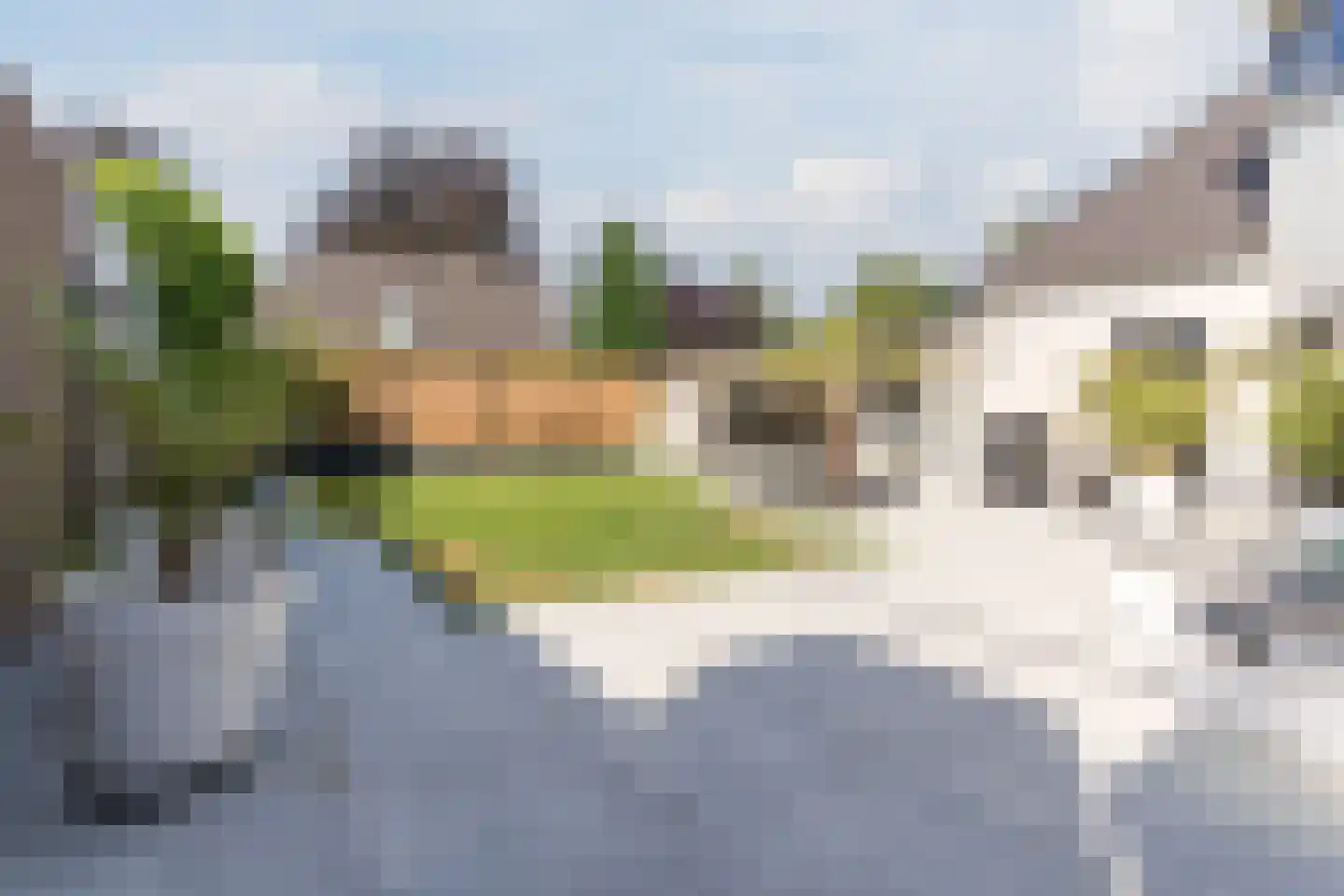 Gentiaan 2 Luyksgestel thumbnail 55