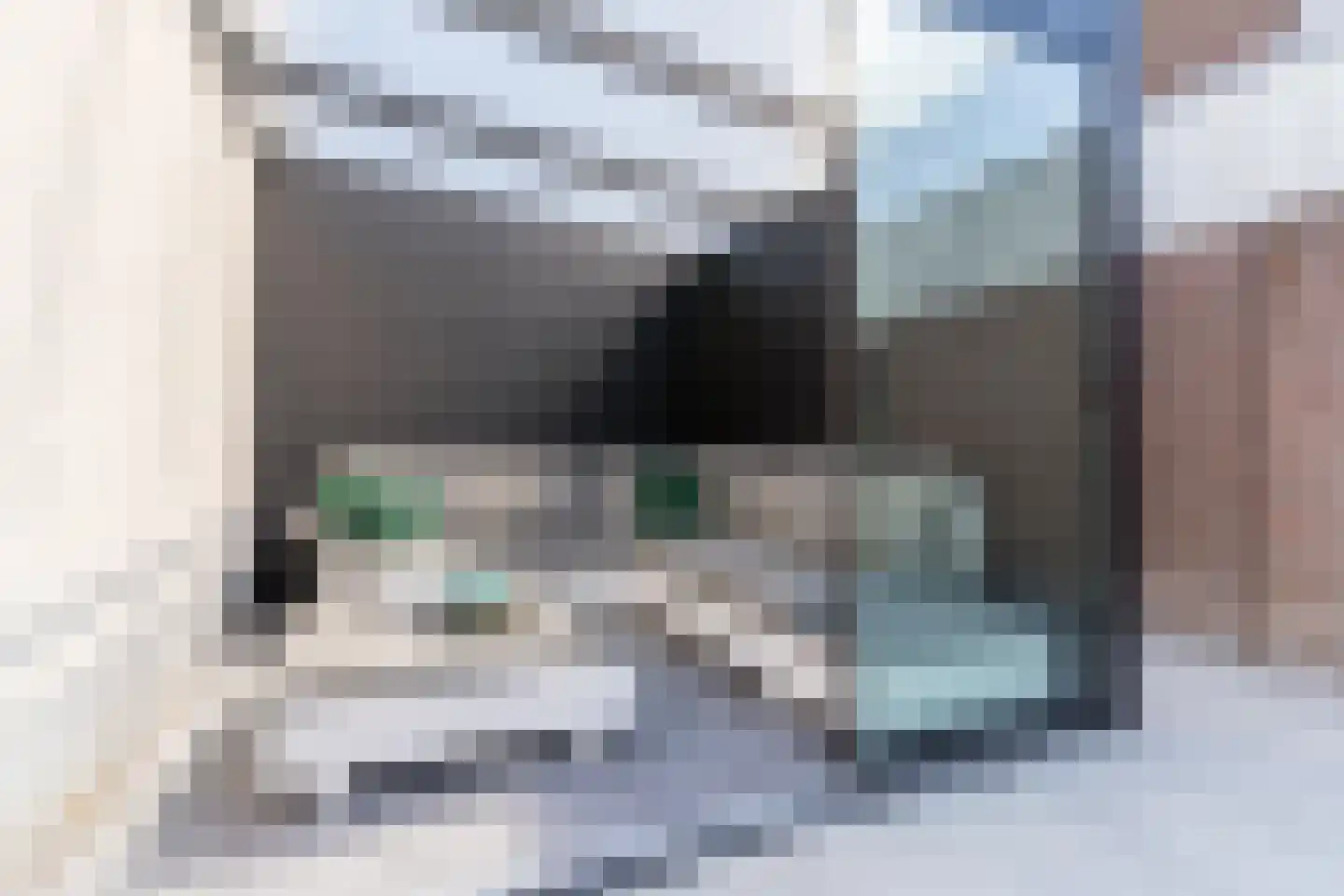 Gentiaan 2 Luyksgestel thumbnail 56