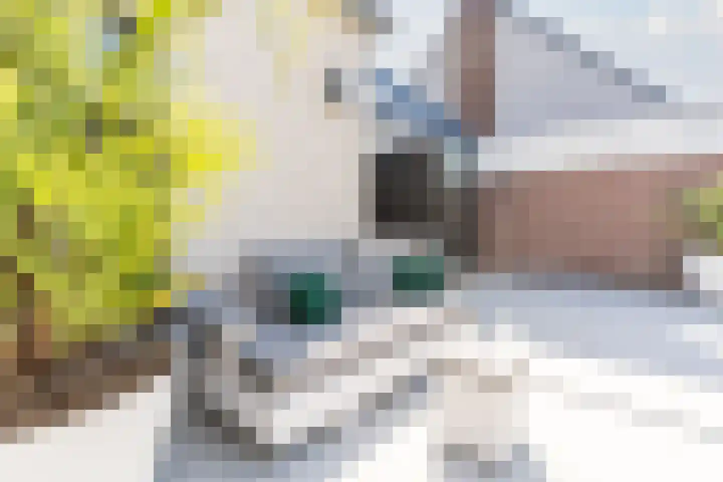 Gentiaan 2 Luyksgestel thumbnail 58
