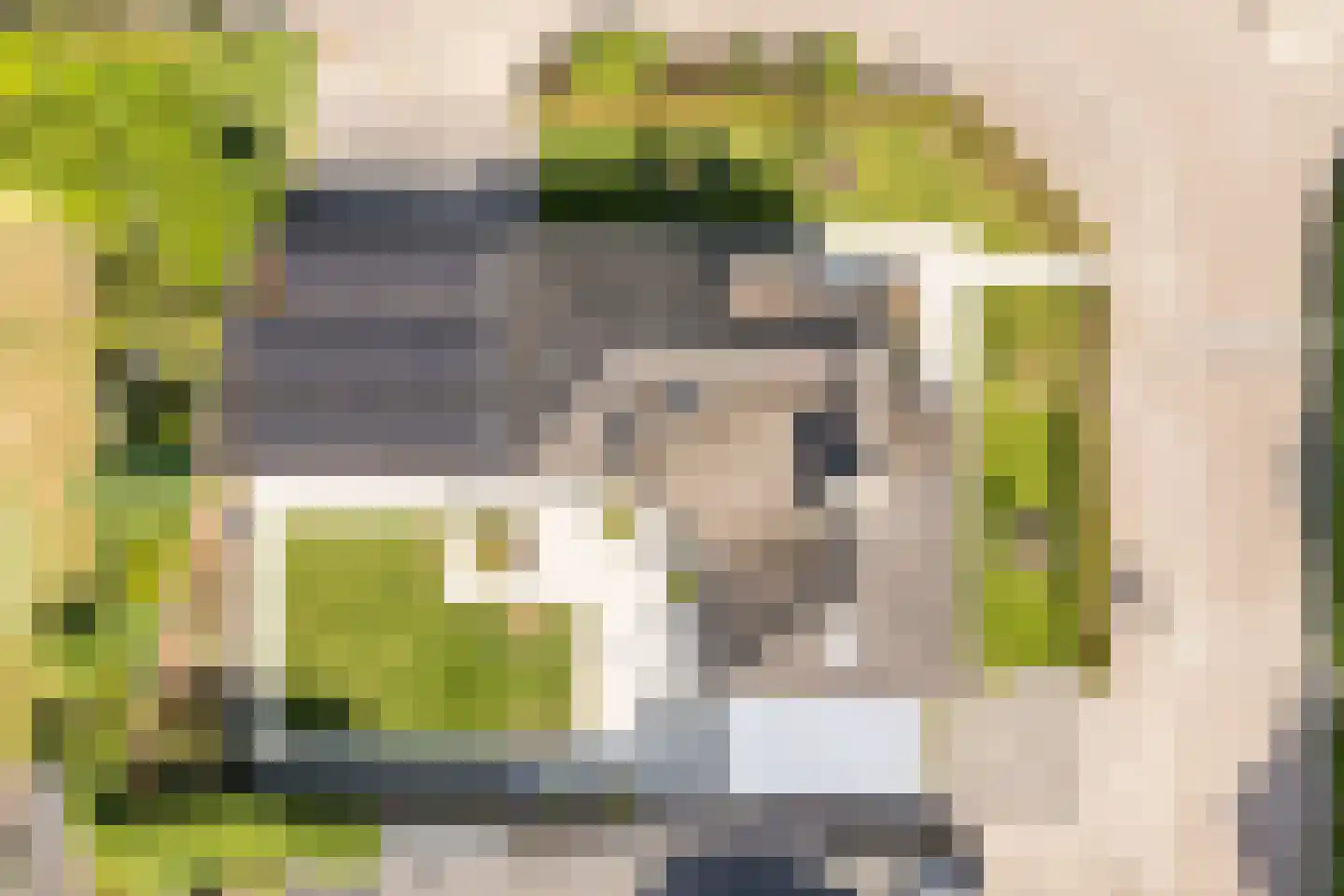 Gentiaan 2 Luyksgestel thumbnail 61