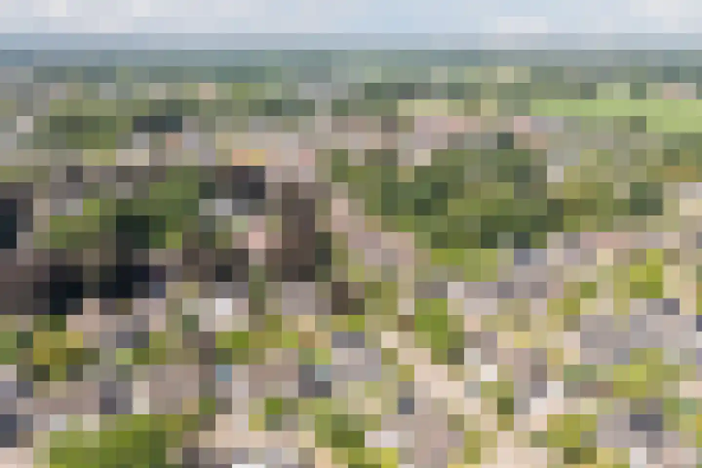 Gentiaan 2 Luyksgestel thumbnail 62