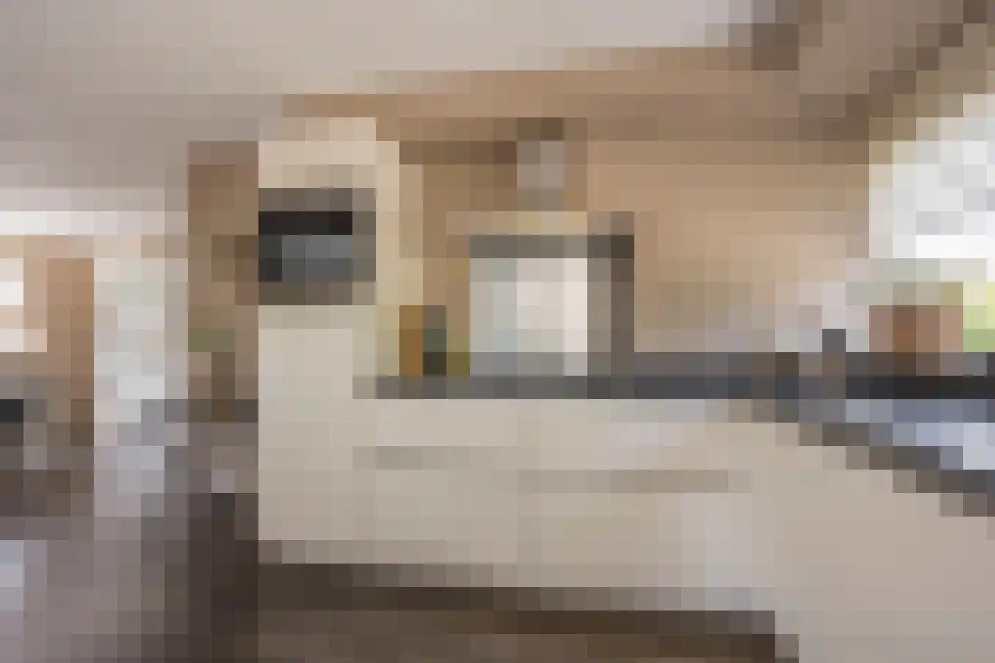 Gentiaan 2 Nijkerk thumbnail 11