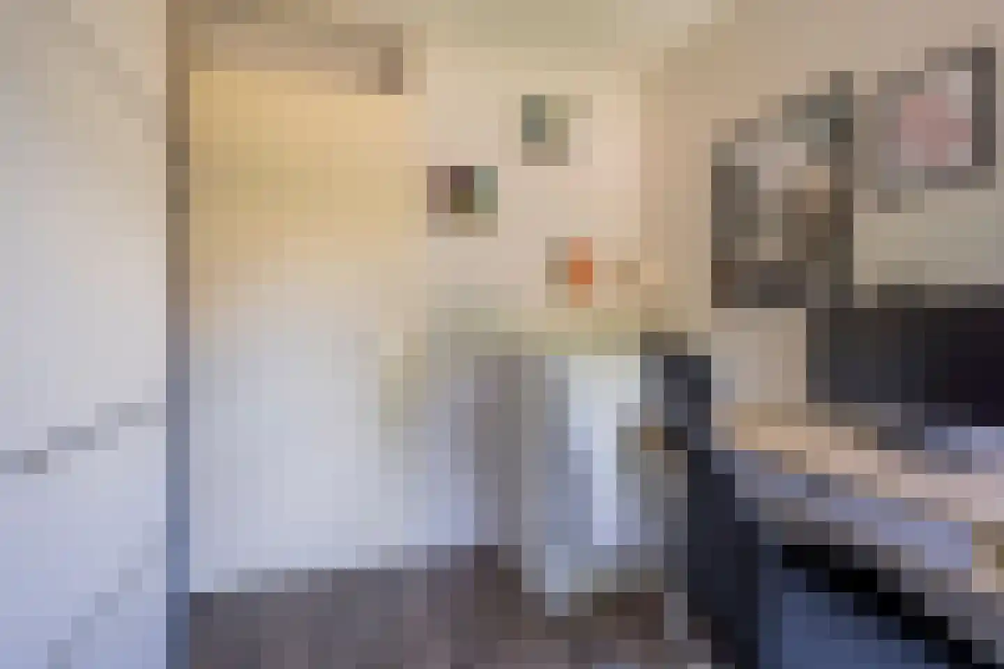 Gentiaan 2 Nijkerk thumbnail 20