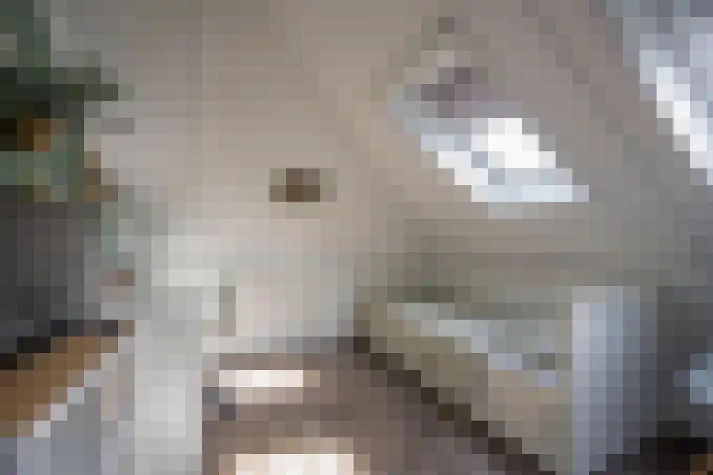 Gentiaan 2 Nijkerk thumbnail 24