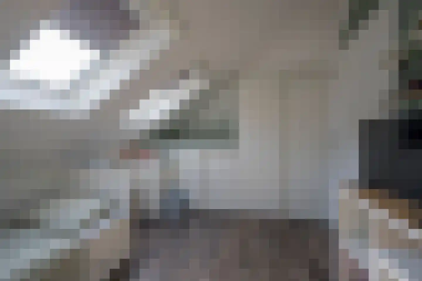 Gentiaan 2 Nijkerk thumbnail 25