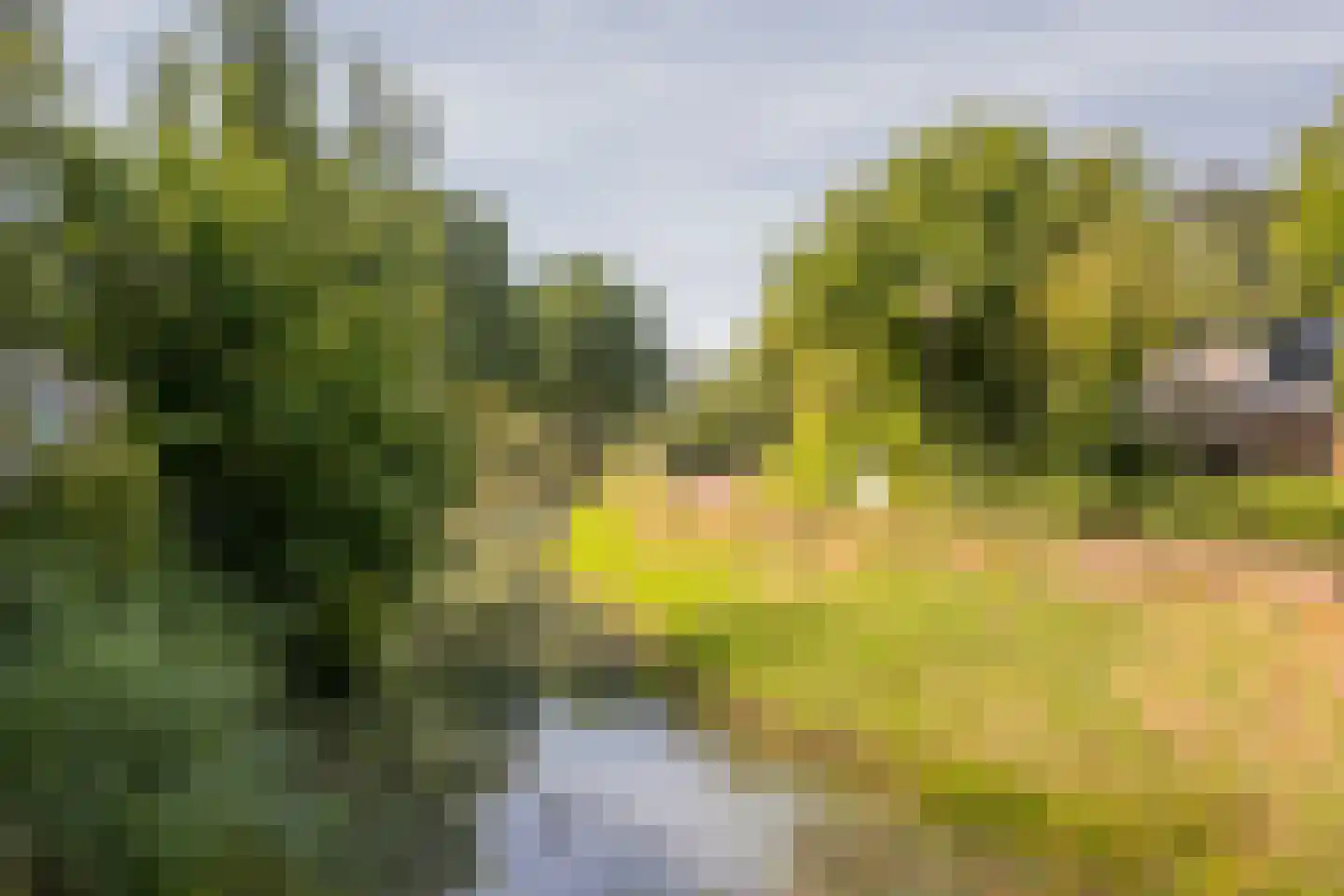 Gentiaan 2 Nijkerk thumbnail 38