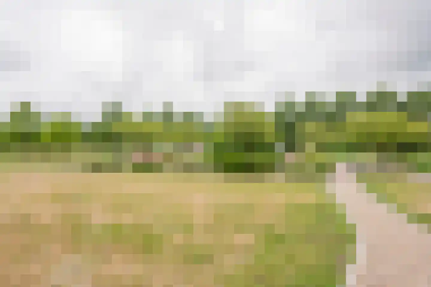 Gentiaan 2 Nijkerk thumbnail 39