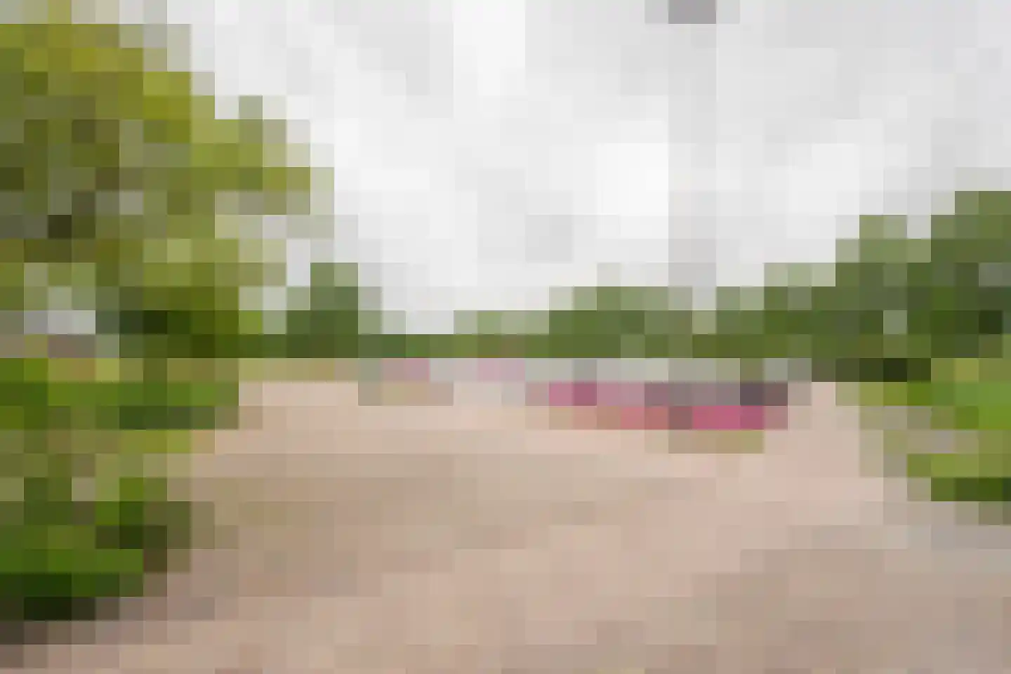 Gentiaan 2 Nijkerk thumbnail 40