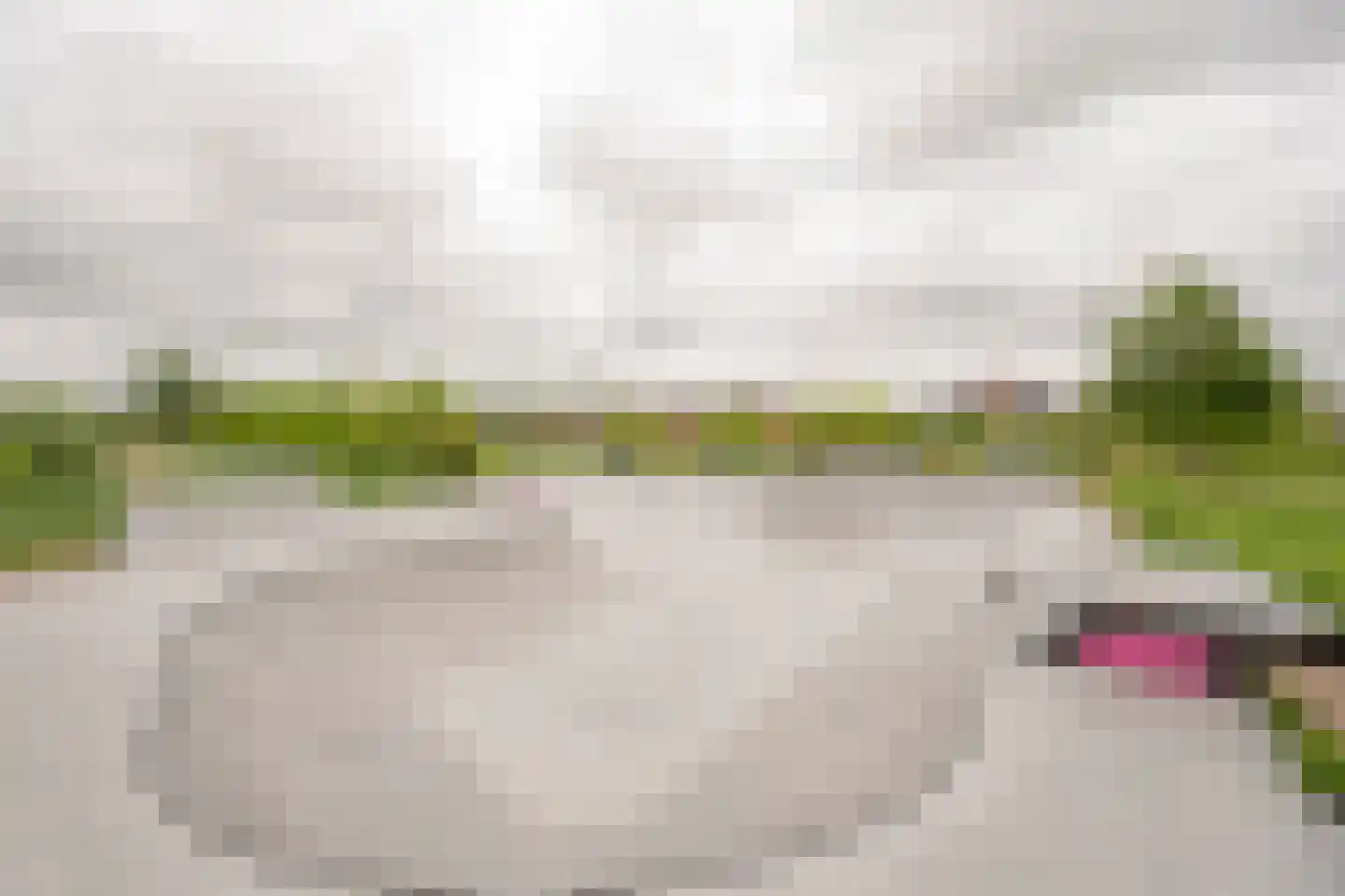 Gentiaan 2 Nijkerk thumbnail 42