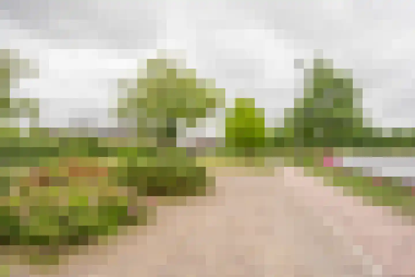 Gentiaan 2 Nijkerk thumbnail 44