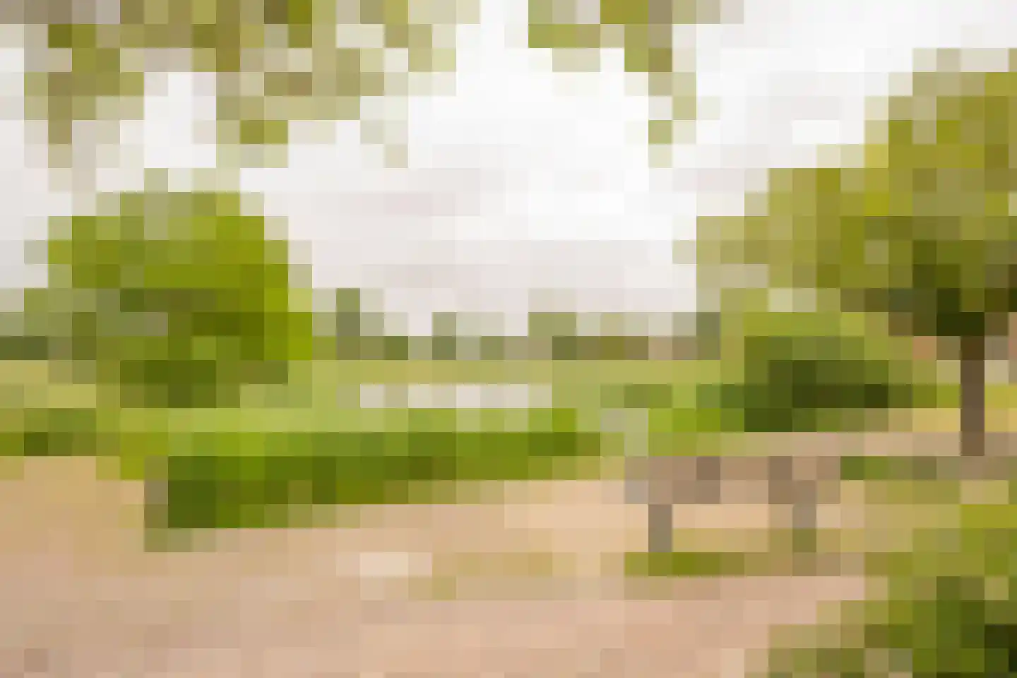 Gentiaan 2 Nijkerk thumbnail 45