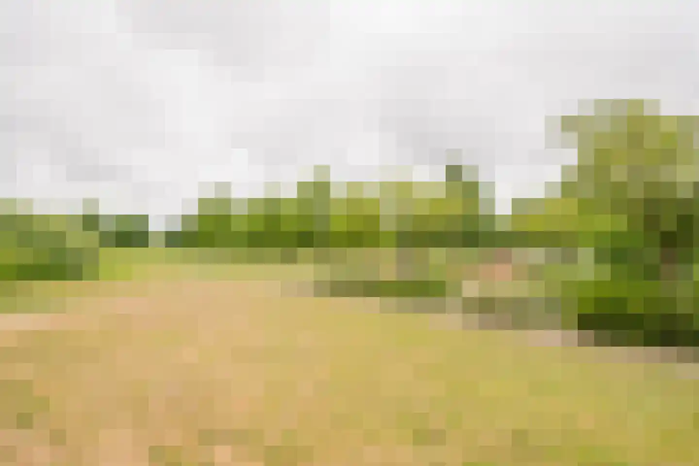Gentiaan 2 Nijkerk thumbnail 46