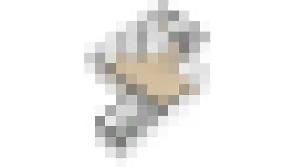Gentiaan 2 Nijkerk thumbnail 48
