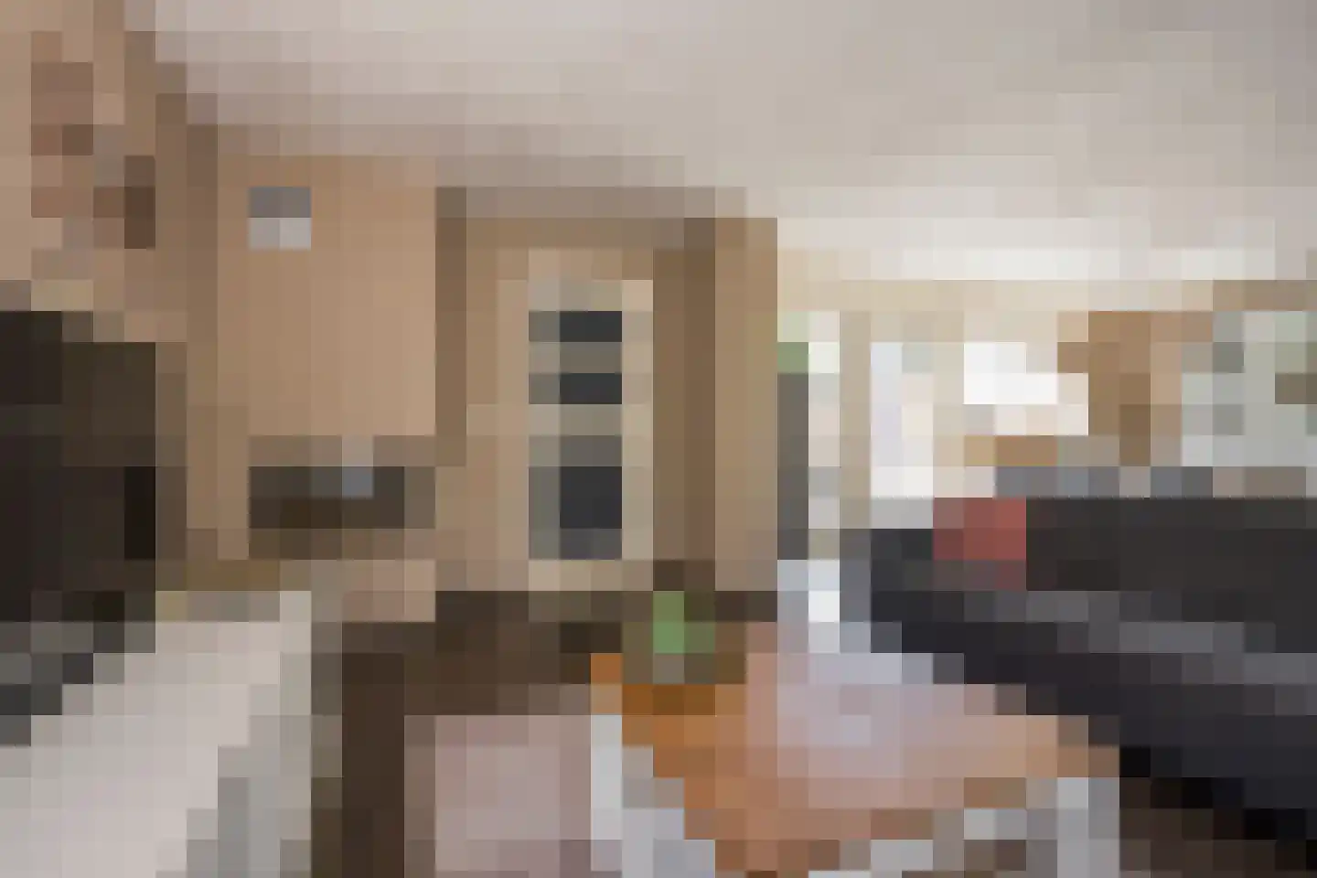 Gentiaan 2 Nijkerk thumbnail 5