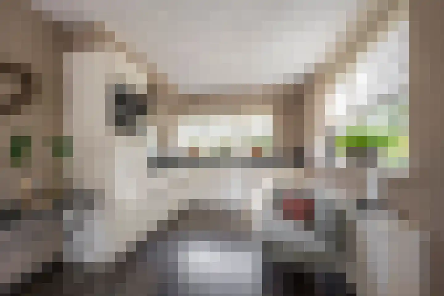 Gentiaan 2 Nijkerk thumbnail 9