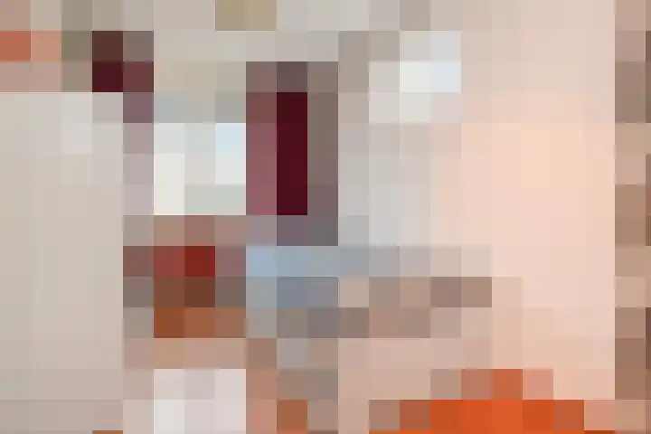 Gentiaan 2 Nootdorp thumbnail 28