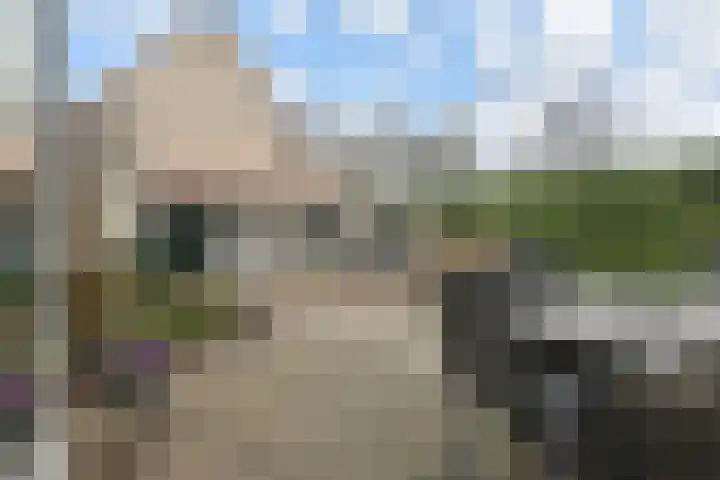 Gentiaan 2 Nootdorp foto 3