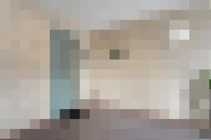 Gentiaan 20 Beilen thumbnail 11