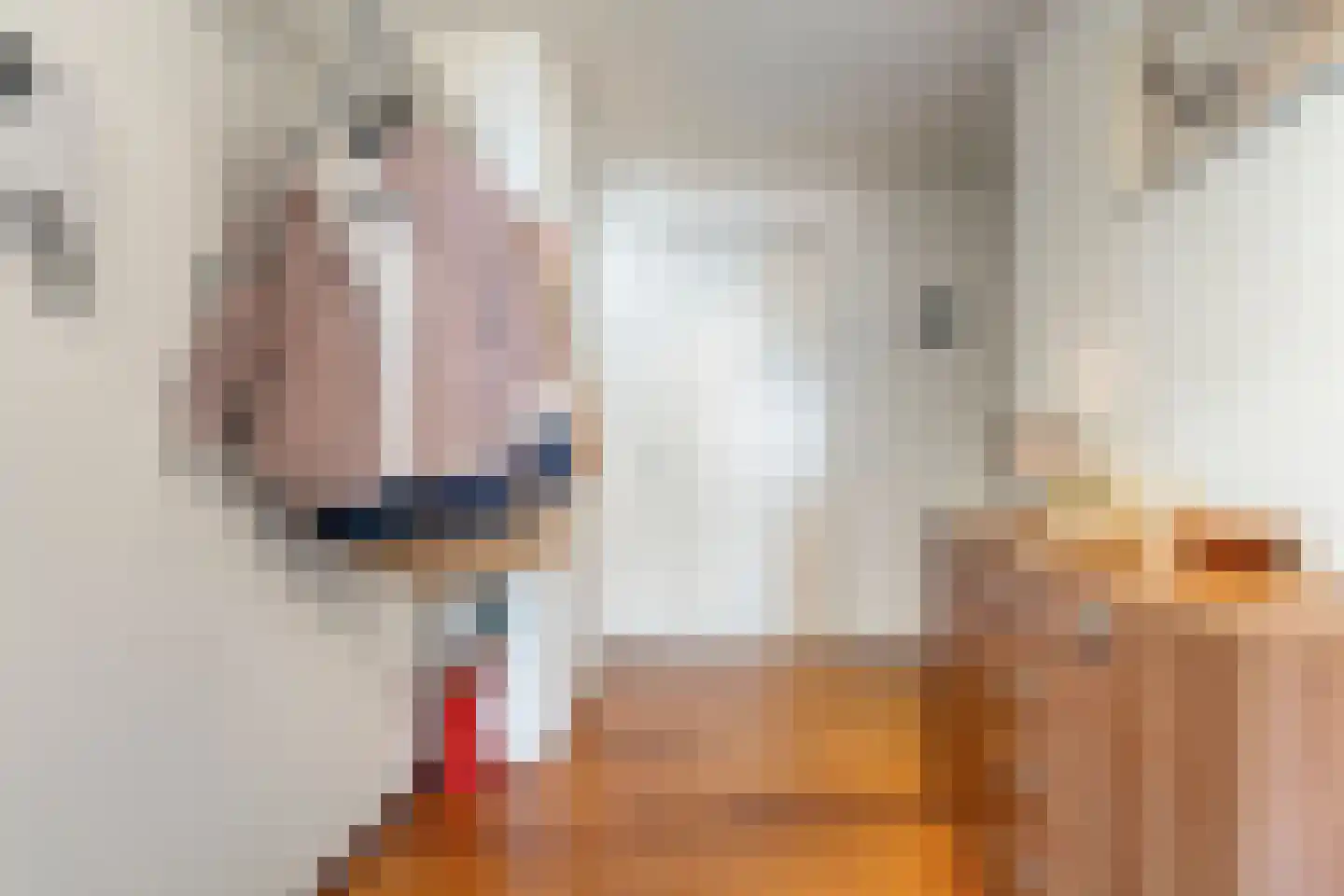 Gentiaan 20 Beilen thumbnail 12