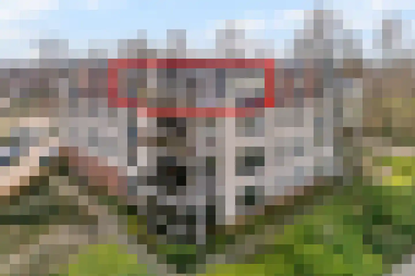 Gentiaan 20 Beilen foto 2