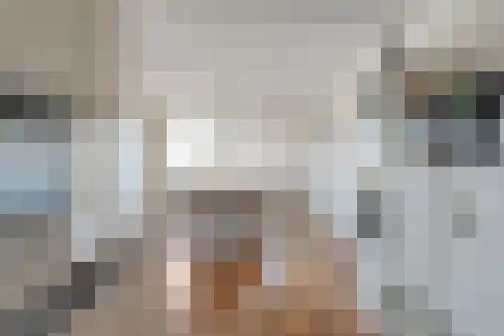 Gentiaan 20 Beilen thumbnail 23